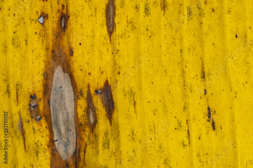 Patterns and textures banana leaves, colorful green, yellow and dry.Closeup of banana leaf texture abstract background selective focus.
