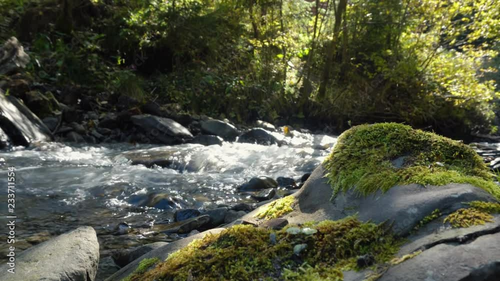 Green and wet mossy stones and rocks along mountain river stream with many curved cascades surrounded by greenery of forest vegetation in spring, morning time Green and wet mossy stones and rocks along mountain river stream with many curved cascades surrounded by greenery of forest vegetation in spring, morning time