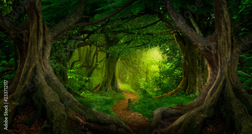 Fototapeta Naklejka Na Ścianę i Meble -  Deep tropical jungles of Southeast Asia in august