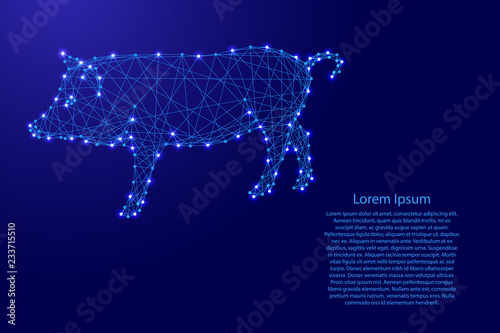 Pig is a symbol of the new year 2019 from futuristic polygonal blue lines and glowing stars for banner, poster, greeting card. Vector illustration.
