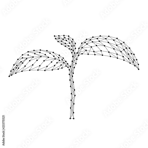 Seedlings growing from abstract futuristic polygonal black lines and dots. Vector illustration.