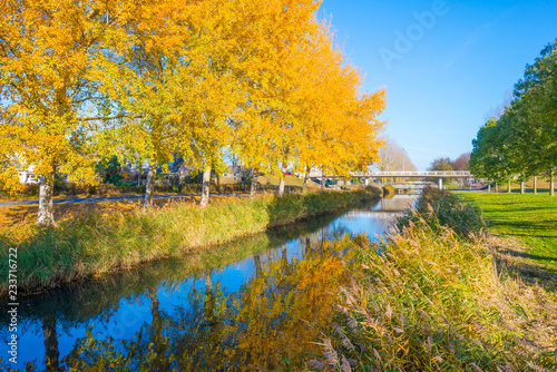 Trees in fall colors along a canal in a residential area in sunlight 