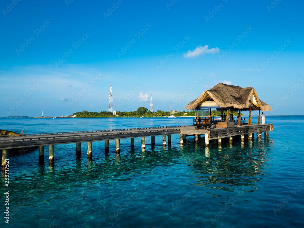 Maldives island with jetty, Rsadoo Atoll, Indian Ocean, Maldives