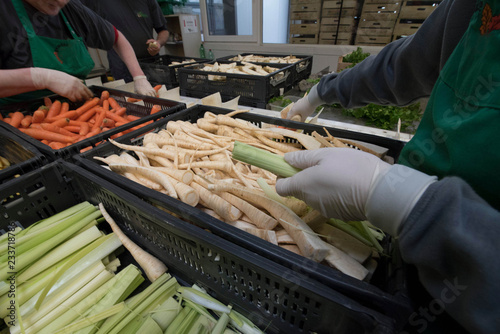 Logistik nach der Gemüseernt photo