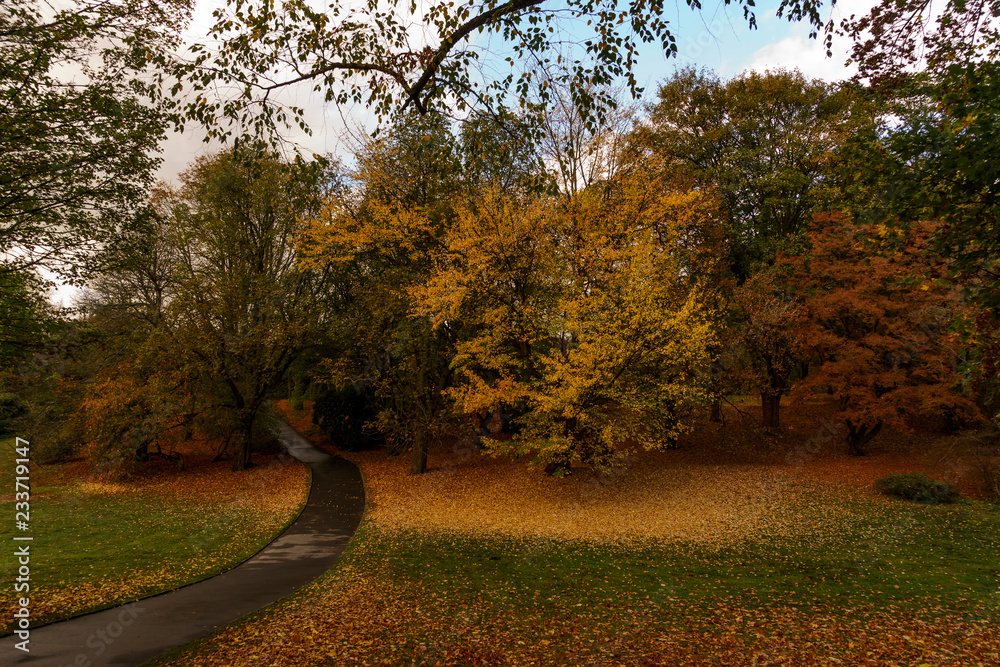 Naklejka premium Parkweg im Herbst