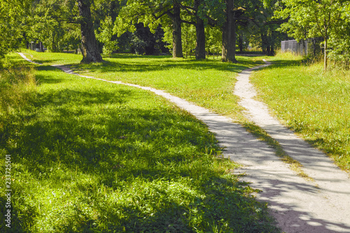 Fototapeta Naklejka Na Ścianę i Meble -  The divergence of paths in different directions. Summer landscape