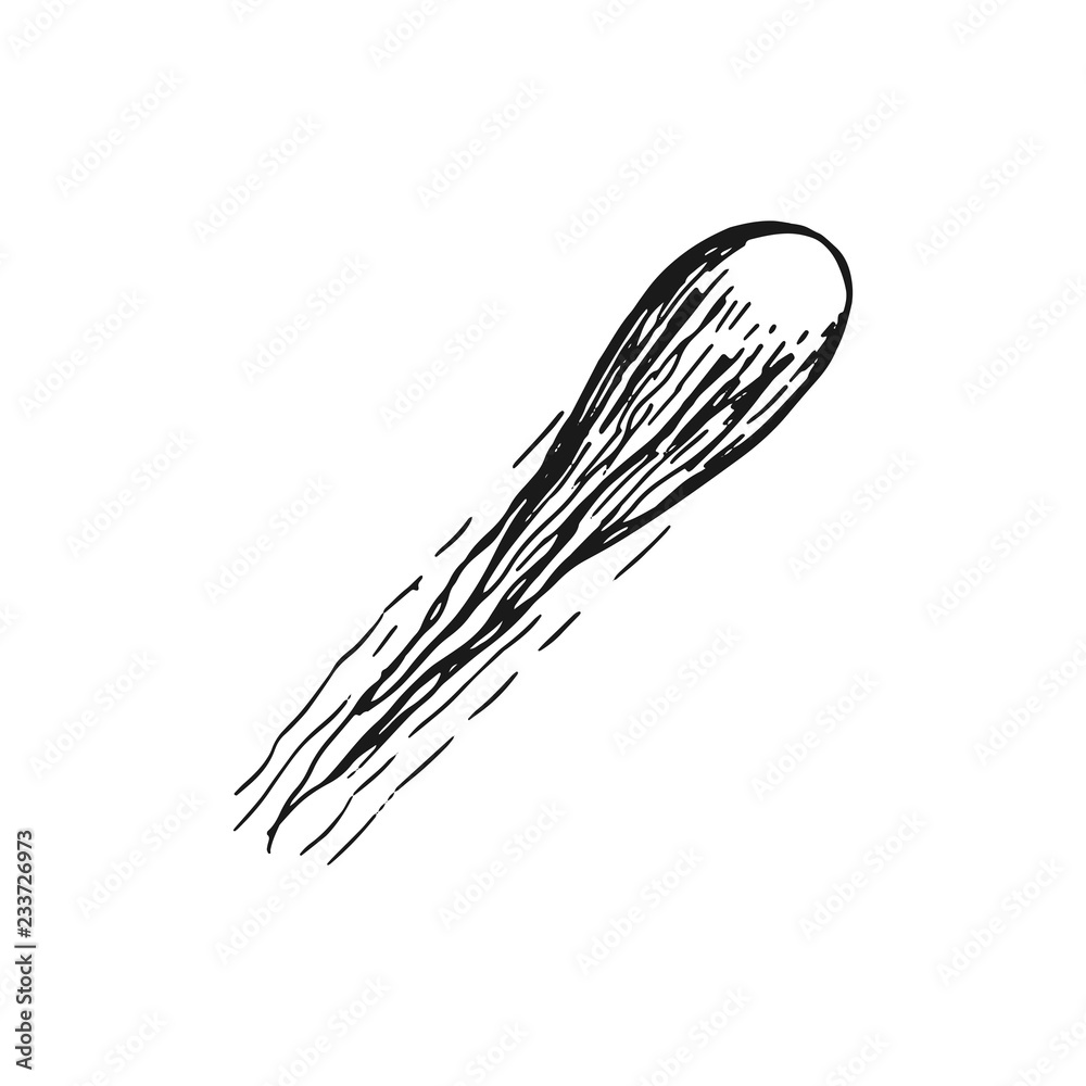 space comet flies vector icon. sketch isolated object space comet flies vector icon. sketch isolated object