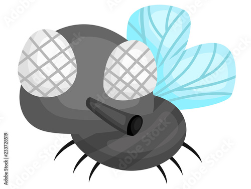 a vector of a cute big eye fly