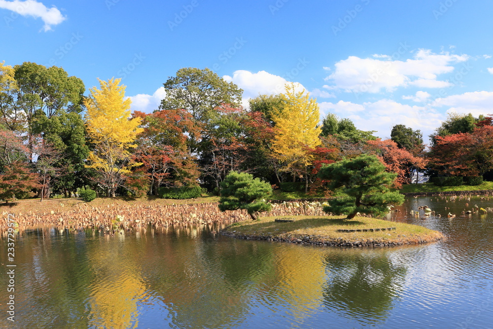 京都の紅葉　大沢の池
