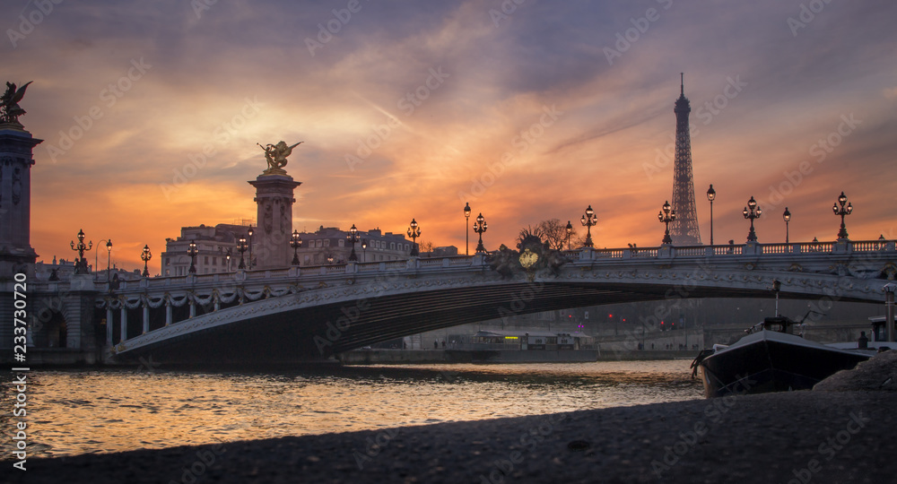 Alexander III bridge in Paris at dusk