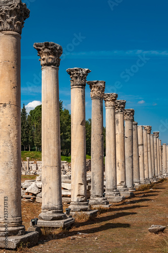Majestic view of Agora of Ephesus from columnar road and columns,Turkey.