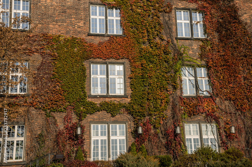 Fototapeta premium Antique house with windows in grapes