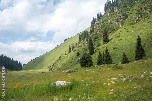 Moonlight valley, Almaty mountains.