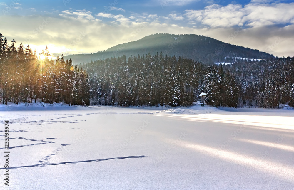 Ice covered and snowy Synevyr lake in winter, gorgeous location in forested Carpathian mountains Ice covered and snowy Synevyr lake in winter, gorgeous location in forested Carpathian mountains