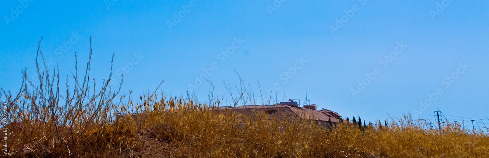 Fototapeta premium Roof landscape