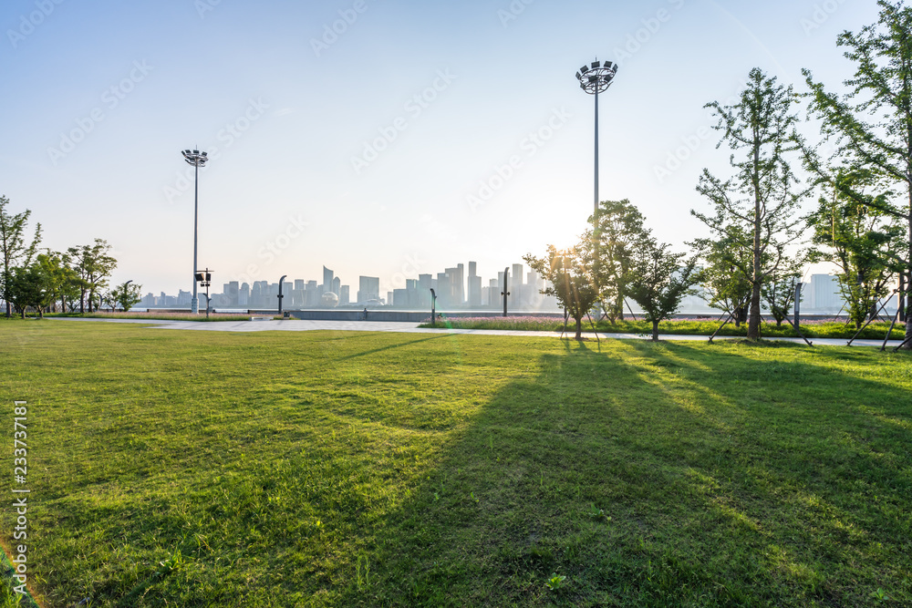 green lawn with city skyline