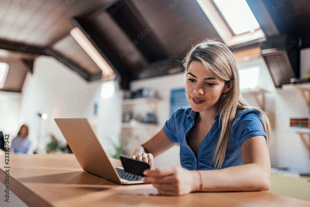 Business people using technology. E-commerce concept. Business people using technology. E-commerce concept.