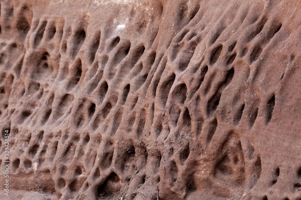 Tafoni weathering in red natural sandstone wall. Tafoni weathering in red natural sandstone wall.