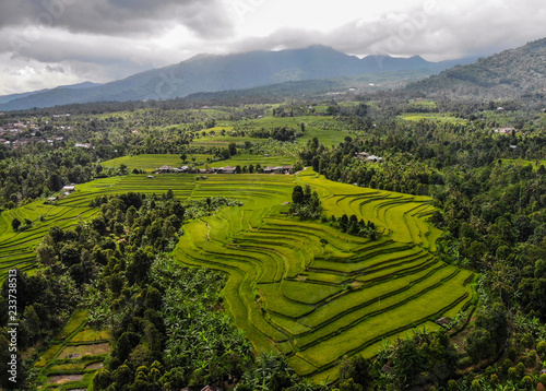 Indonesian Rice Paddies  Rice Shelf  Rice terrace  Stacked rice fields  Rice Fields Bali  Bali  Growing Rice  drone photos  Birds eye  from Above