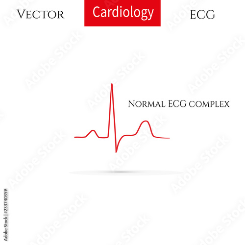 Electrocardiogram, ecg line. Normal ECG complex. Normal heart rhythm.