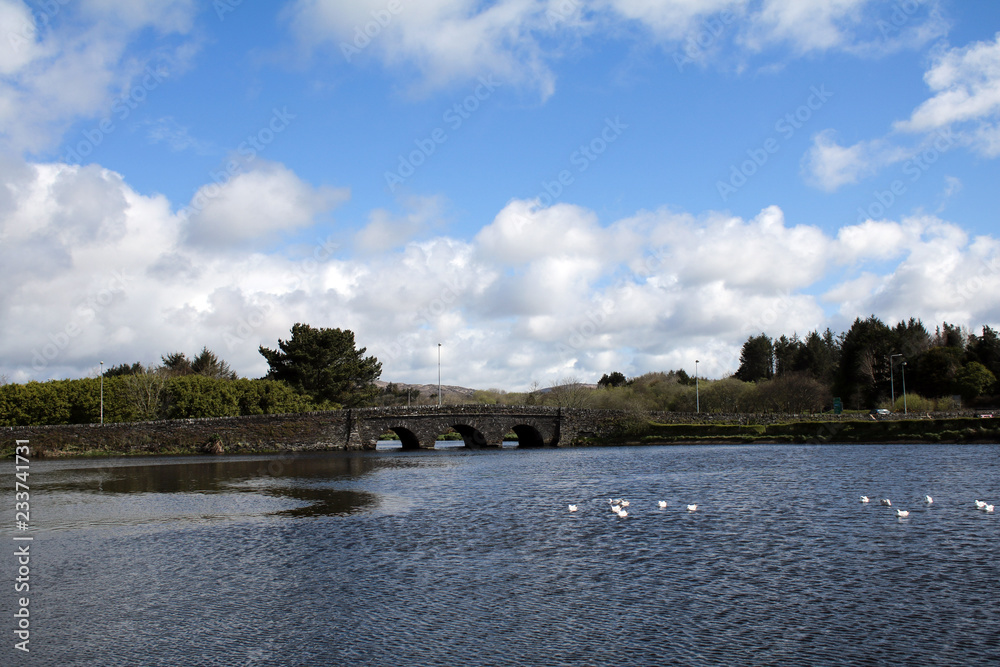 Fototapeta premium Old railway bridge Ballydehob west Cork, Ireland