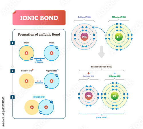 Ionic bond vector illustration. Labeled diagram with formation explanation.