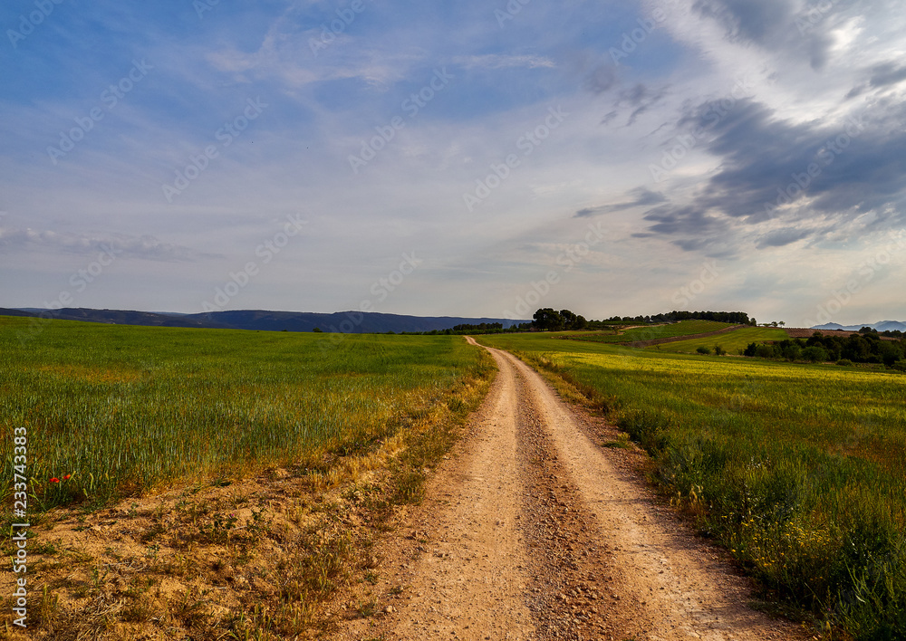 Dirt road between crop fields, between the villages of Fontanars dels aforins and Fuente la Higuera