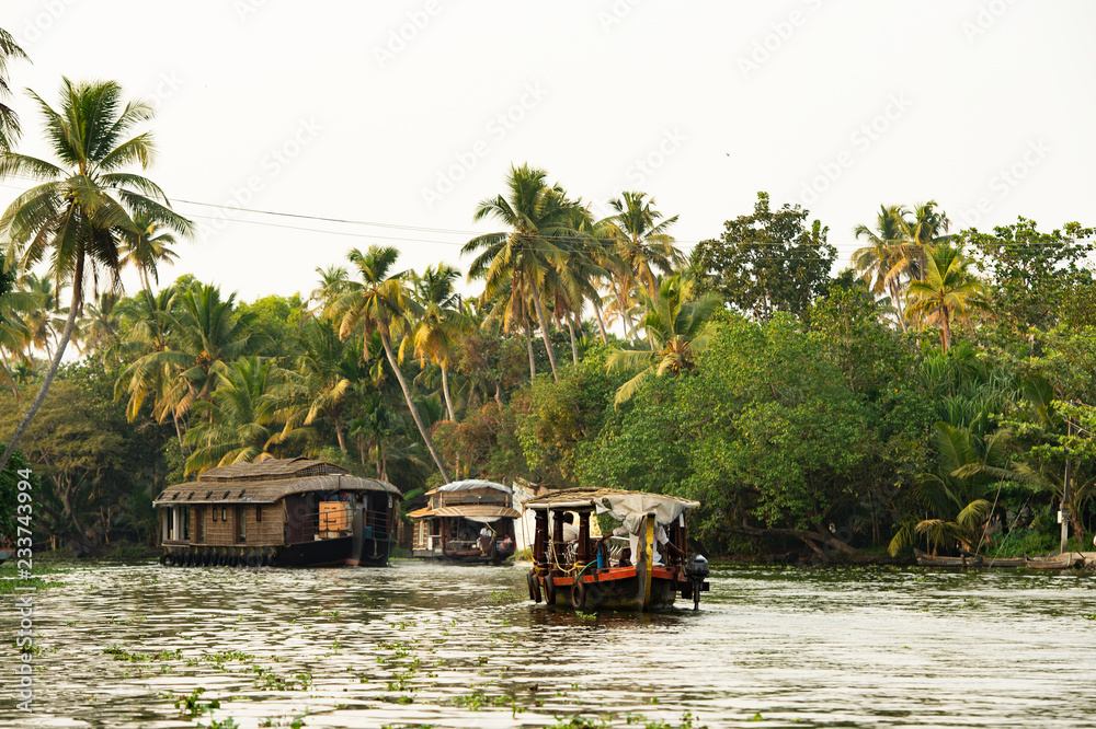 A beautiful houseboat is sailing among Alleppey's backwaters, Kerala, India.