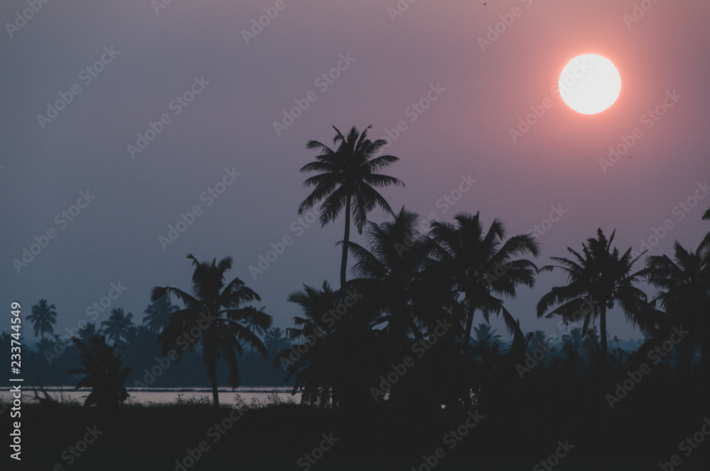 Obraz premium Keralan Sunset - Silhouetted