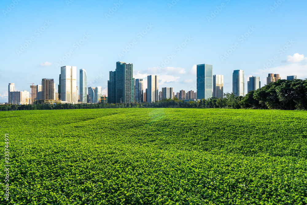 landscape of weest lake in hangzhou china landscape of weest lake in hangzhou china