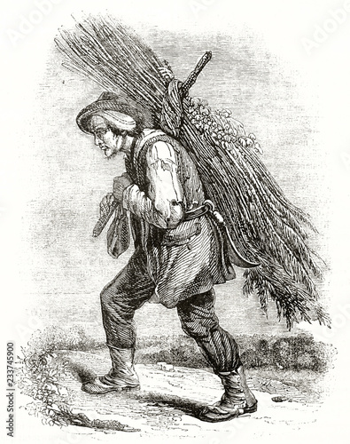 Ancient illustration of a Normand peasant in traditional costume carrying a heavy bundle of wood on his back. By unidentified author published on Magasin Pittoresque Paris 1839