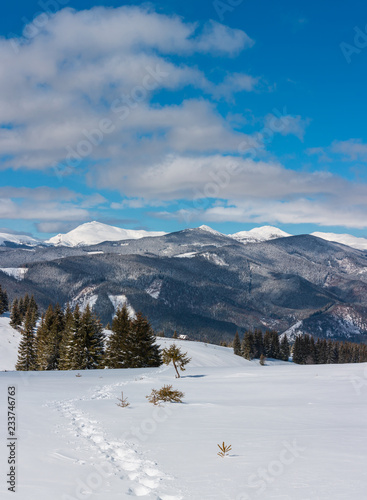 Winter snowy Carpathian mountains  Ukraine