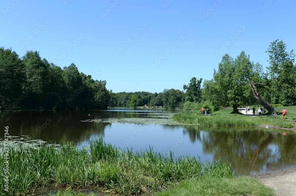 Upper Kuzminsky pond in the natural-historical park Upper Kuzminsky pond in the natural-historical park