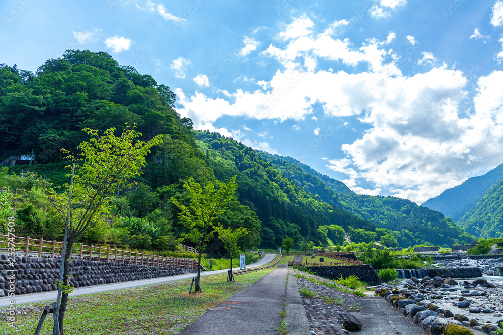 立山 長野県 長野 鏡池 池 雷鳥 自然 風景 鳥 山 信州 秋 ライチョウ 野鳥 室堂 北アルプス 富山 観光地 高山 特別天然記念物 雪 晴れ 日本 みくりが池 富山県 鳥類 屋外 立山連峰 山岳 雄山 北陸 観光