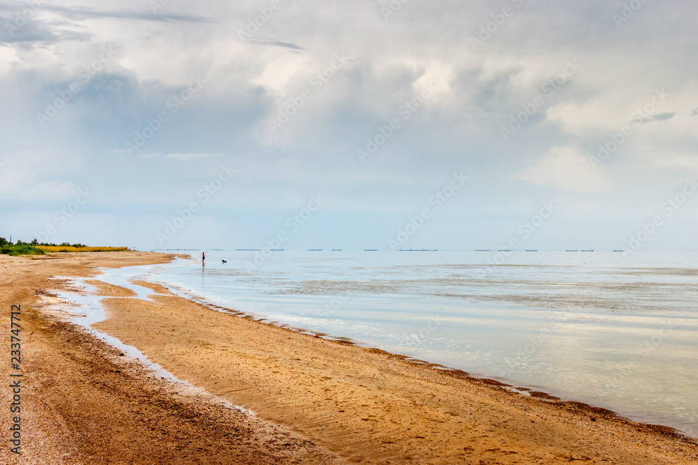 The sandy beach on the sea coast and the woman walking with the dog at the distance. Taganrog bay, Azov sea, Russia The sandy beach on the sea coast and the woman walking with the dog at the distance. Taganrog bay, Azov sea, Russia