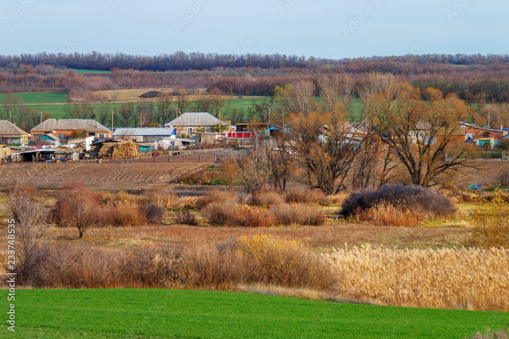 Fototapeta premium The small village among forest belts and green fields with winter crops at the late autumn time