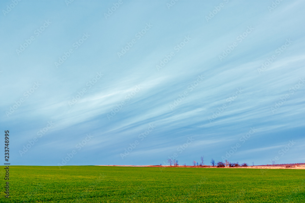 The beautiful twilight landscape with the blue ripple sky and the green field The beautiful twilight landscape with the blue ripple sky and the green field