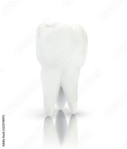 vector 3d tooth for dental medicine. on a white background
