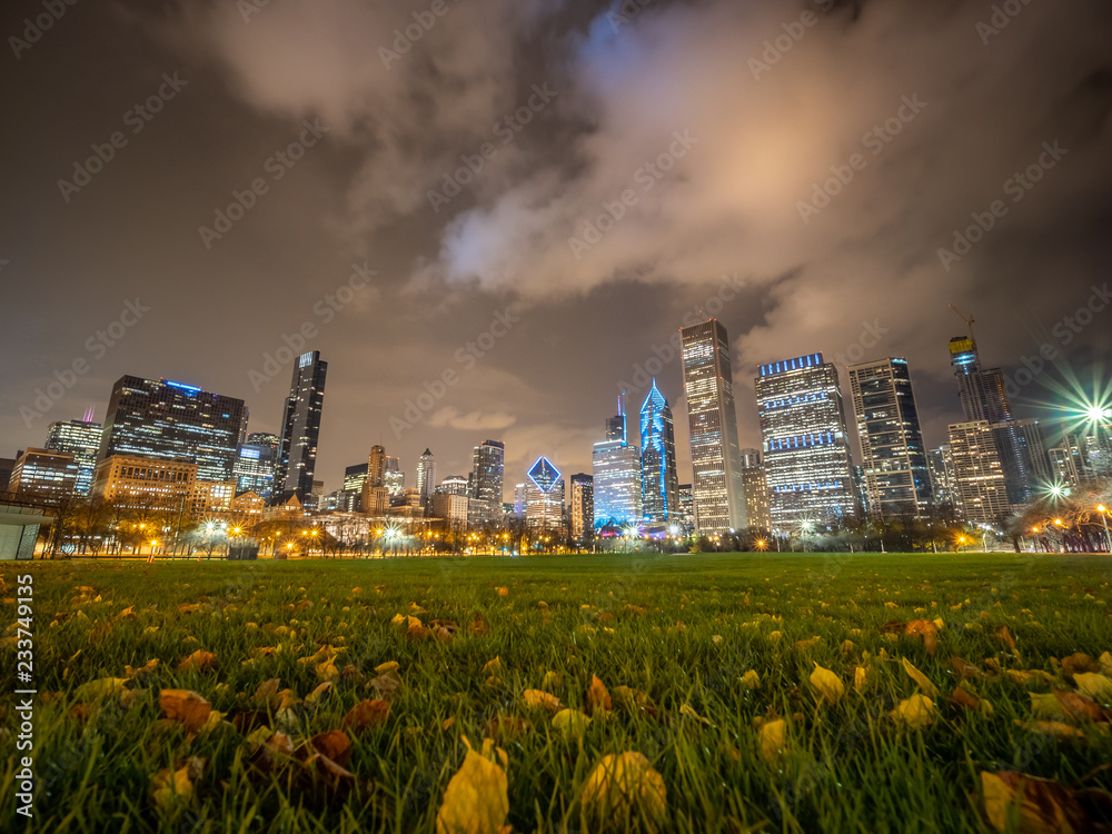 Chicago Skyline At Night Winter