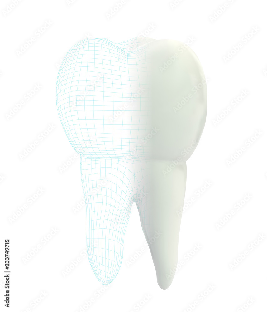 vector 3d tooth for dental medicine.volume polygonal mesh, printing on a 3D printer. isolated on a white background vector 3d tooth for dental medicine.volume polygonal mesh, printing on a 3D printer. isolated on a white background