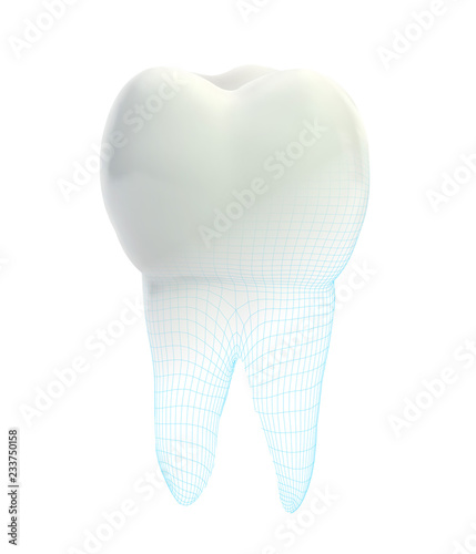 vector 3d tooth for dental medicine.volume polygonal mesh, printing on a 3D printer. isolated on a white background