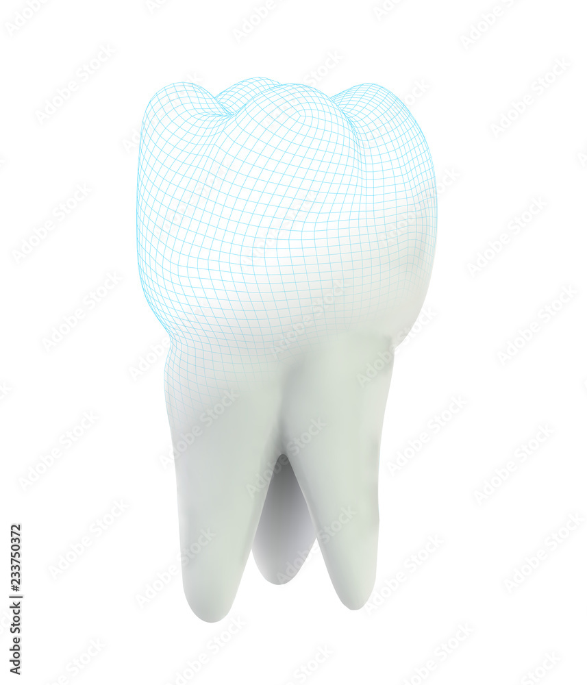vector 3d tooth for dental medicine.volume polygonal mesh, printing on a 3D printer. isolated on a white background vector 3d tooth for dental medicine.volume polygonal mesh, printing on a 3D printer. isolated on a white background