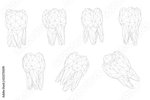 vector set of 3d teeth for dental medicine. isolated on white