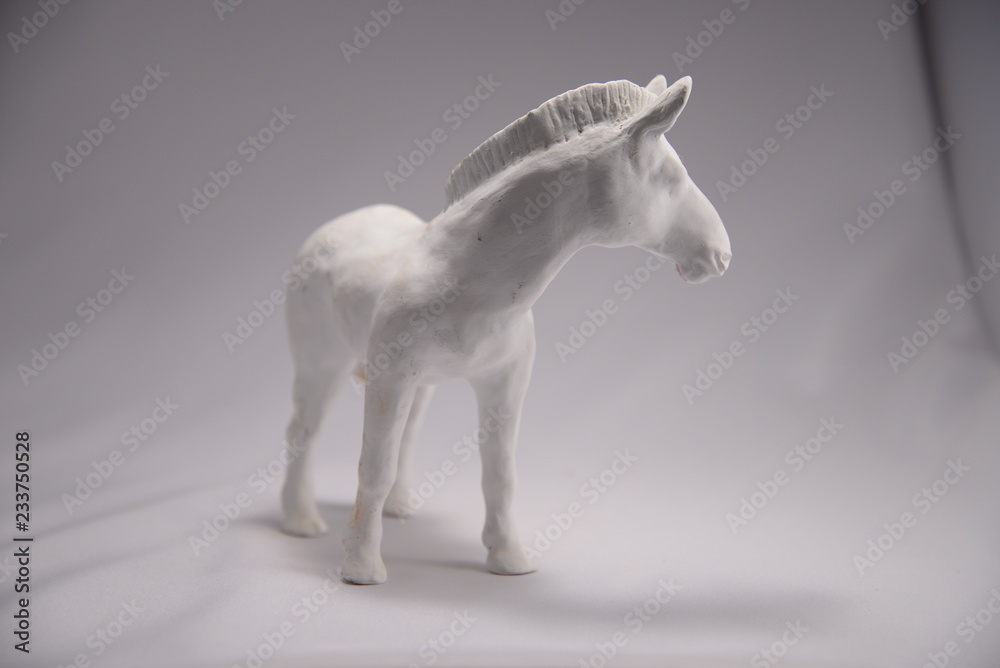 Fototapeta premium white zebra