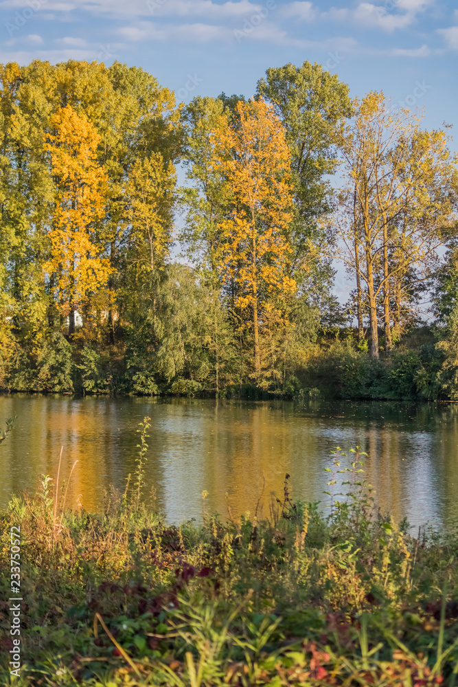 Fototapeta premium Beautiful view near Steinkirchen-Danube-Bavaria-Germany