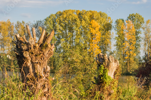 Beautiful view near Steinkirchen-Danube-Bavaria-Germany photo