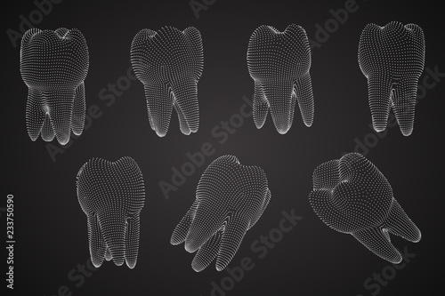 vector set of 3d teeth for dental medicine.