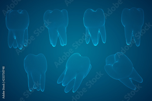 vector set of 3d teeth for dental medicine.