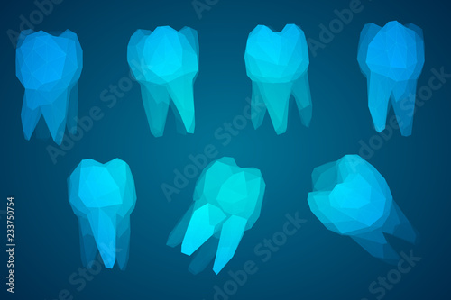 vector set of 3d teeth for dental medicine.