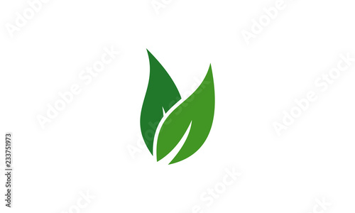 Canvas-taulu green leaf